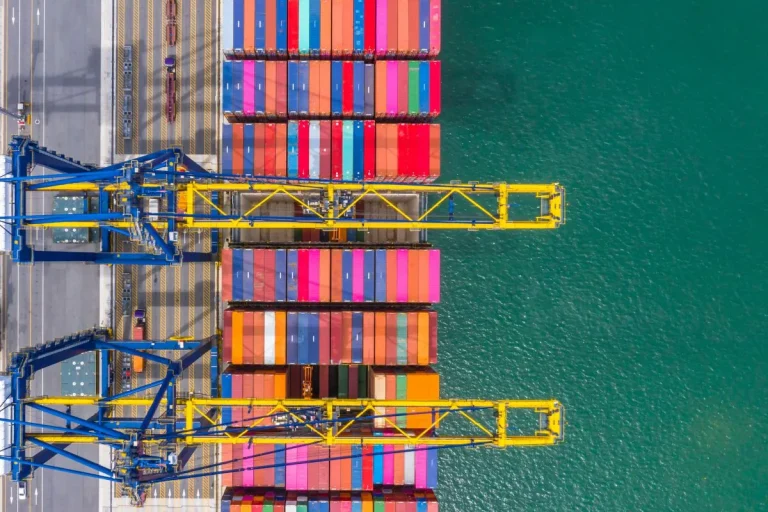 Import License Requirements in Türkiye