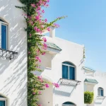 Real Estate Company Formation in Türkiye