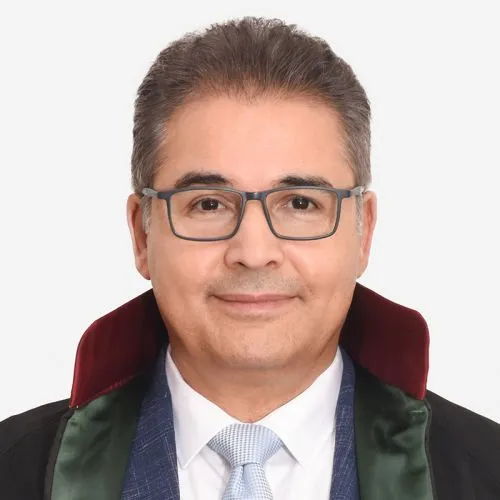 Turkish Law Firm Lawyers