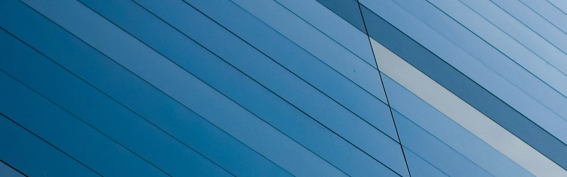 Turkish Company Formation Services